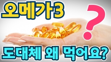 오메가3의 효능 총정리