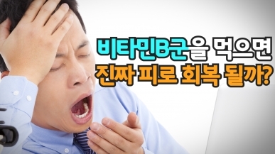 피로 회복에 비타민B가 도움이 되는 이유