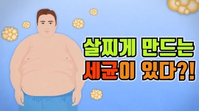 살찌게 하는 세균이 있다?!