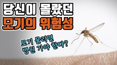 모기에 물리면 호흡곤란을 겪는 사람들이 있…