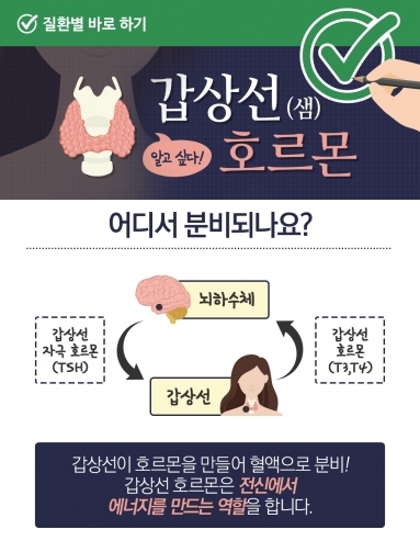 [질환정보] 알고싶다! 갑상선(샘) 호르몬