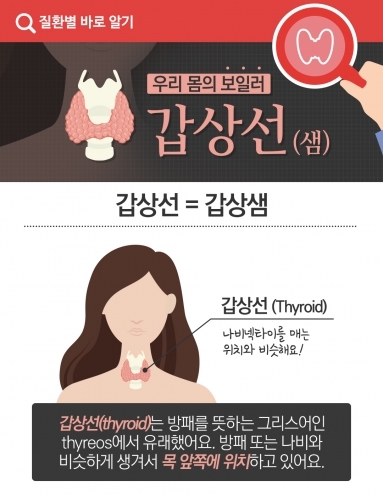 [질환정보] 우리 몸의 보일러, 갑상선(샘)