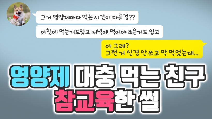 영양제 대충 먹는 친구를 구원하는 방…